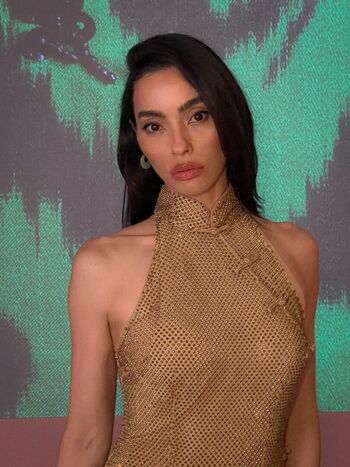 Adrianne Ho