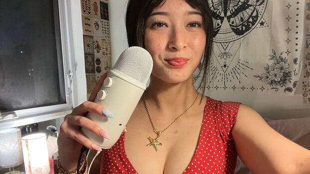 Asmr Emco
