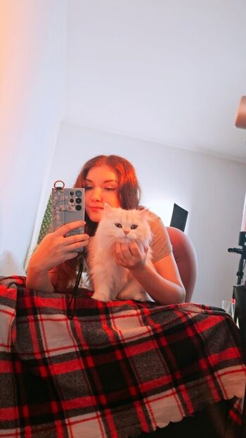 KittyKlaw