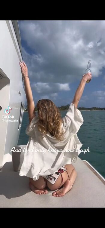 BrieWallz