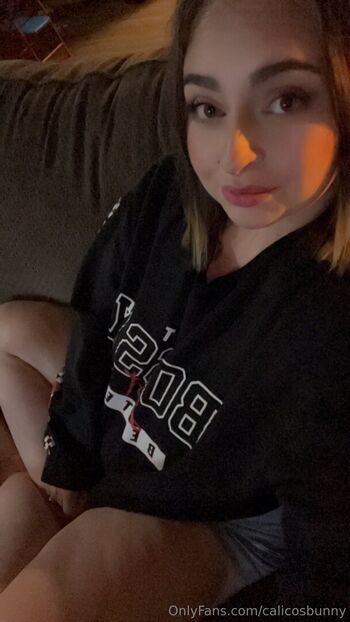 calicosbunny