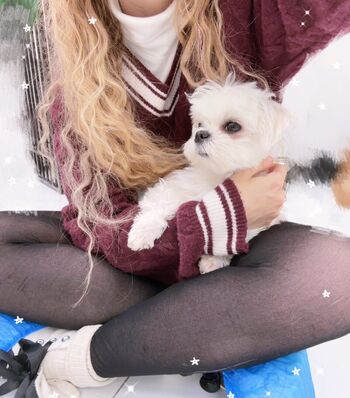 Full leaked Chi private onlyfans photo