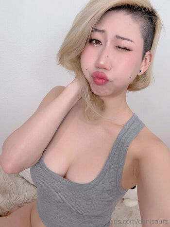 Danisaurz