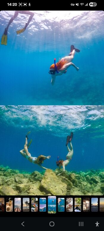 Dasha