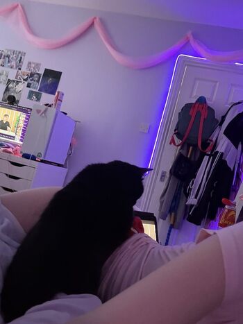 Digitalkatt