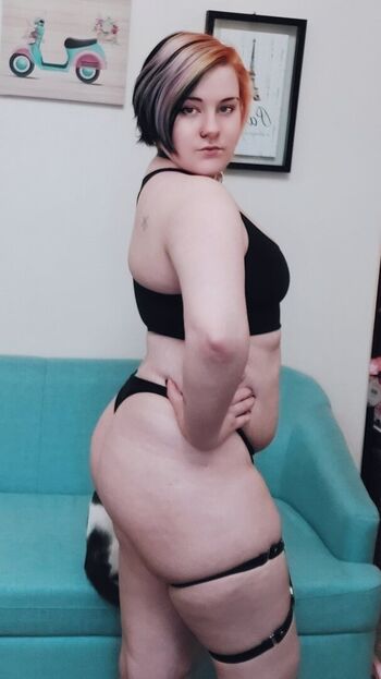 Gardenerofeve