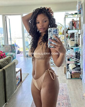 hallebailey