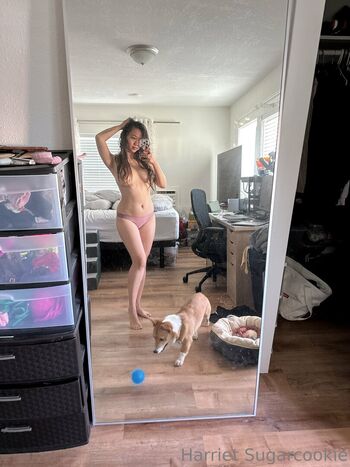 harrietsugarcookie