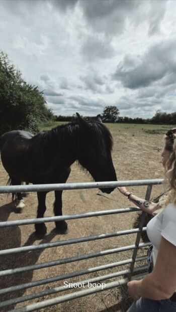 Janet Devlin
