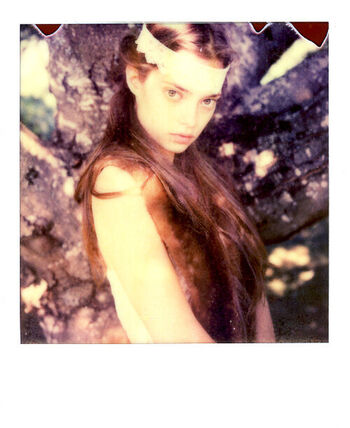 Jennifer Anne Sullins