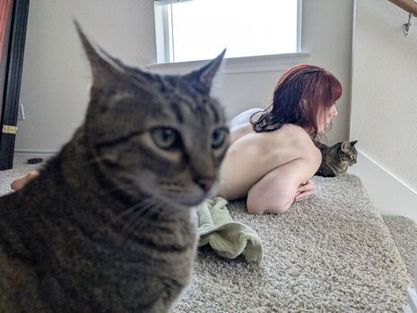 kitty_bit_games