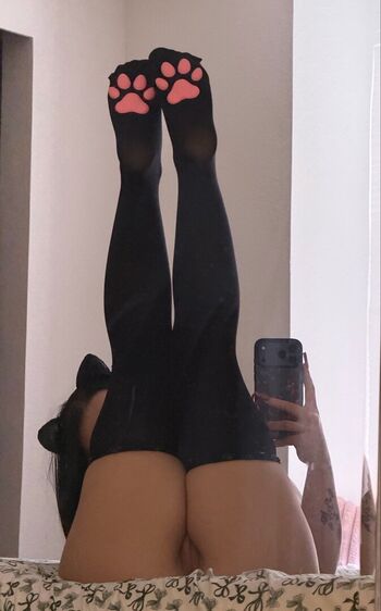 kittycatkayt