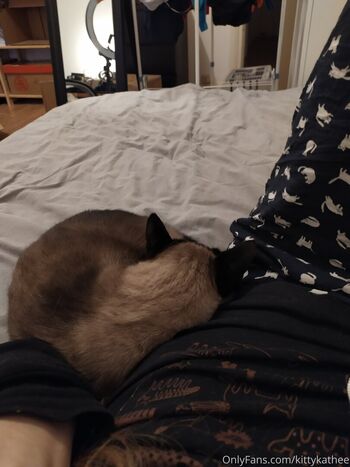 kittykathee