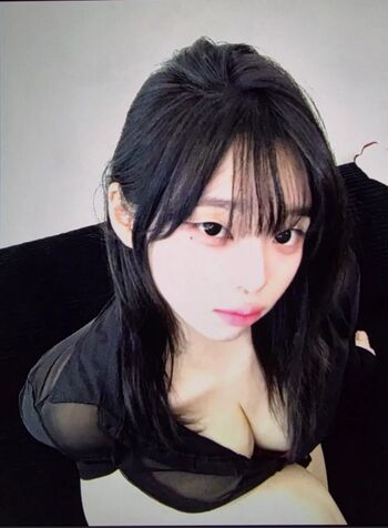 latulip_0