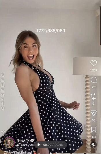Lenaknk