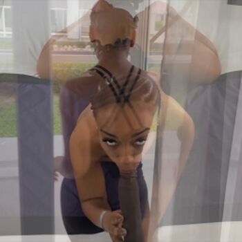 LilyStarfirex