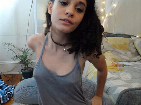 MissFairy