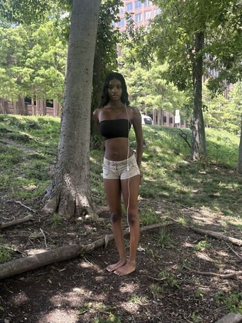 No Tattoos