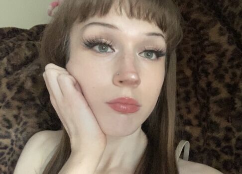 phoebefawn