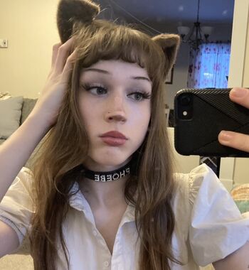 phoebefawn