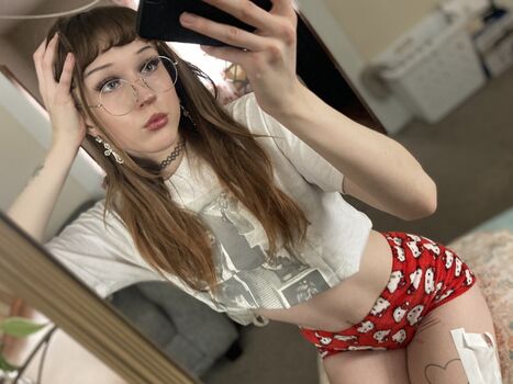 phoebefawn