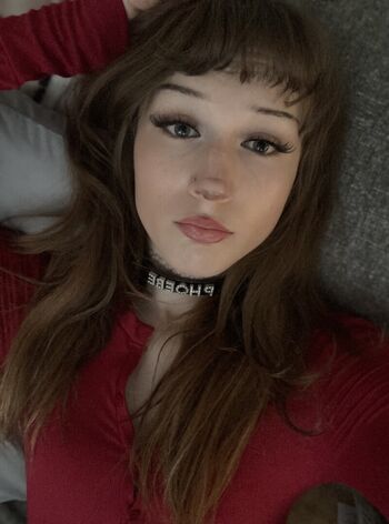 phoebefawn