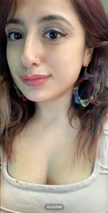 Reclusefractal