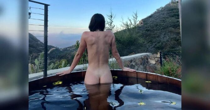 Scout Willis