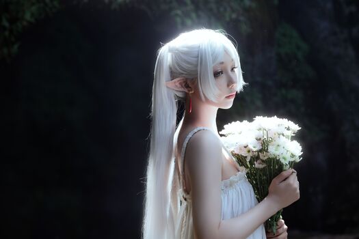 shiliuyelei