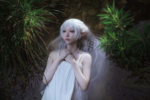 shiliuyelei