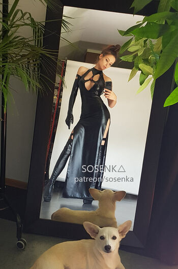 Sosenka