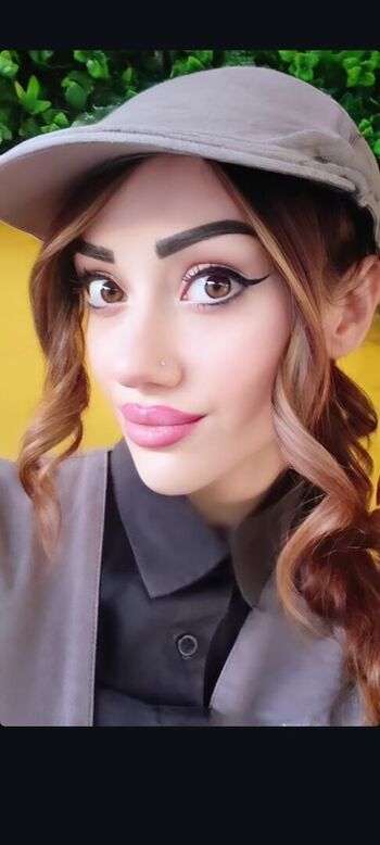 Stefytroy