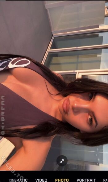 stonefox_