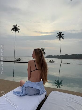 taylor_mega