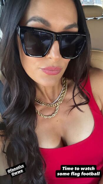 The Bella Twins