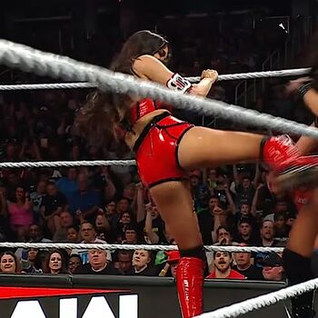 The Bella Twins