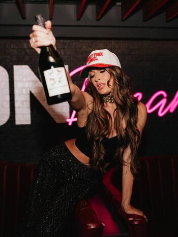 The Bella Twins
