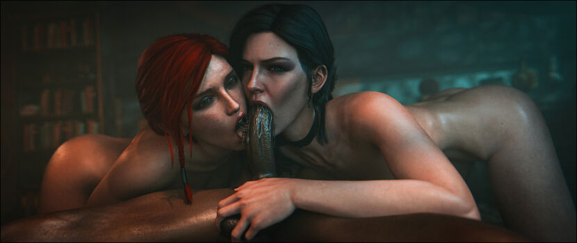The Witcher