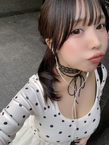 Towa Rabbit