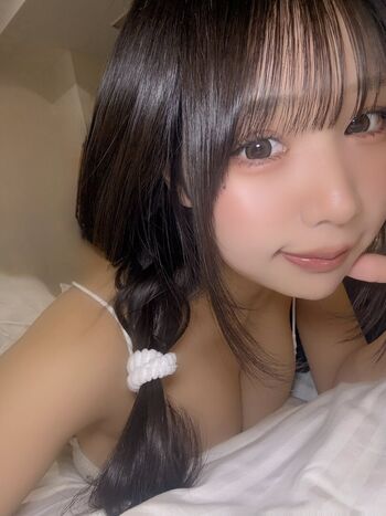 Towa Rabbit