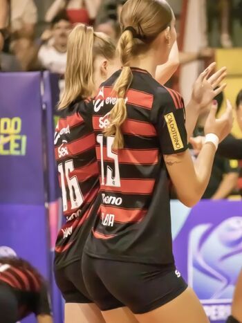 Volei Brasil