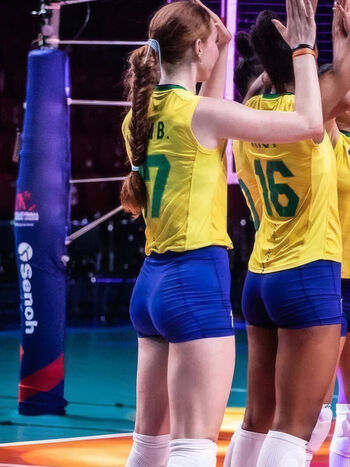 Volei Brasil