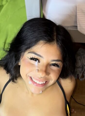 wilddivy